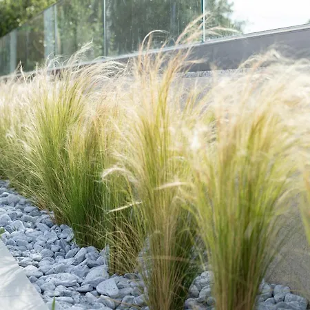 فيلة Onar - Luxury أرغوستولي