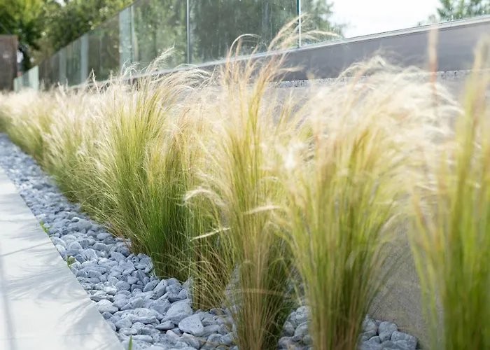 Vila Onar - Luxury Argostoli (Kefalonia)